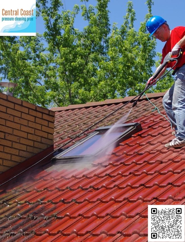 Who provides graffiti removal services in Wyong?