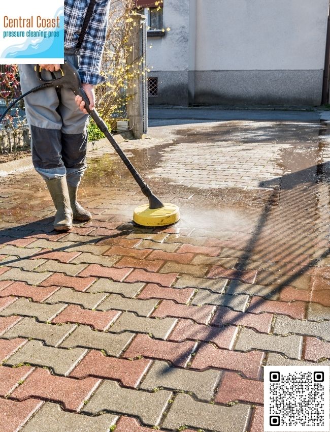 Who provides algae and moss treatment in The Entrance?