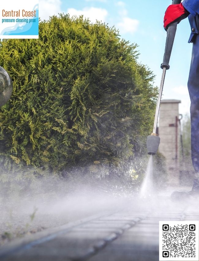 Where can I find roof cleaning specialists in Woy Woy?