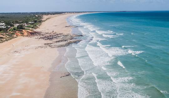 Western Australia’s Rich and Diverse Flora and Fauna: A Sanctuary for Unique Species