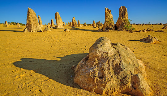 Language and Religion in Western Australia: A Snapshot of Diversity and Changing Trends