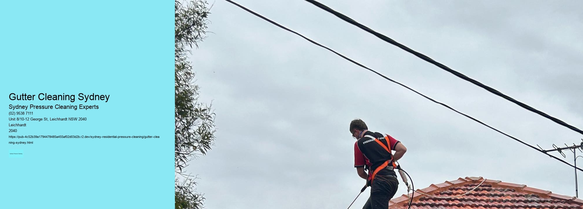 Gutter Cleaning Sydney