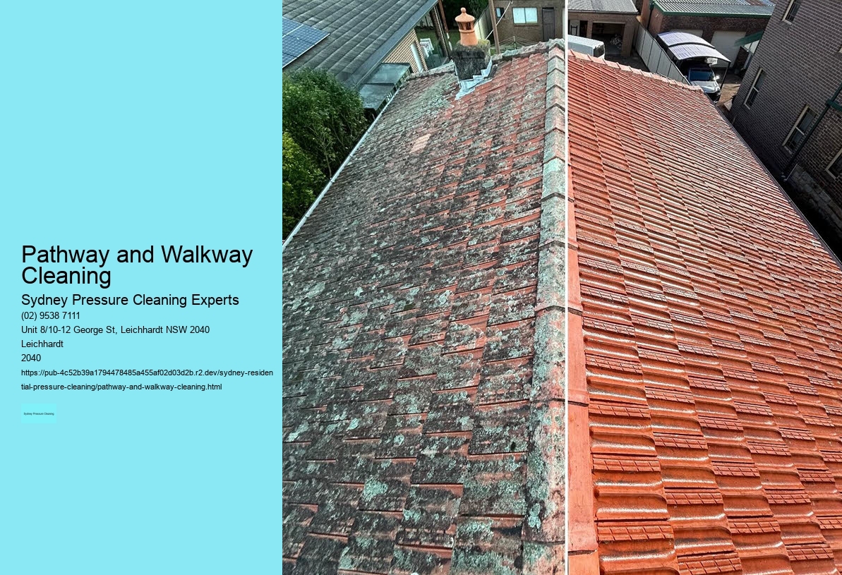 Pathway and Walkway Cleaning