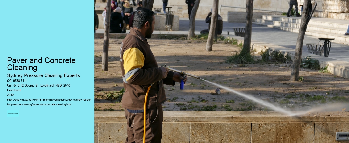 Paver and Concrete Cleaning