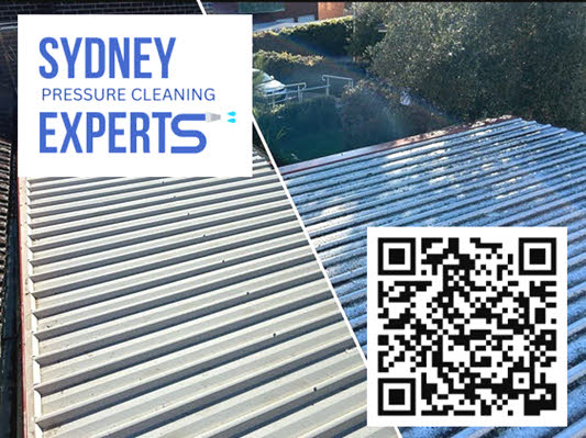 Roof Cleaning Services in Sydney